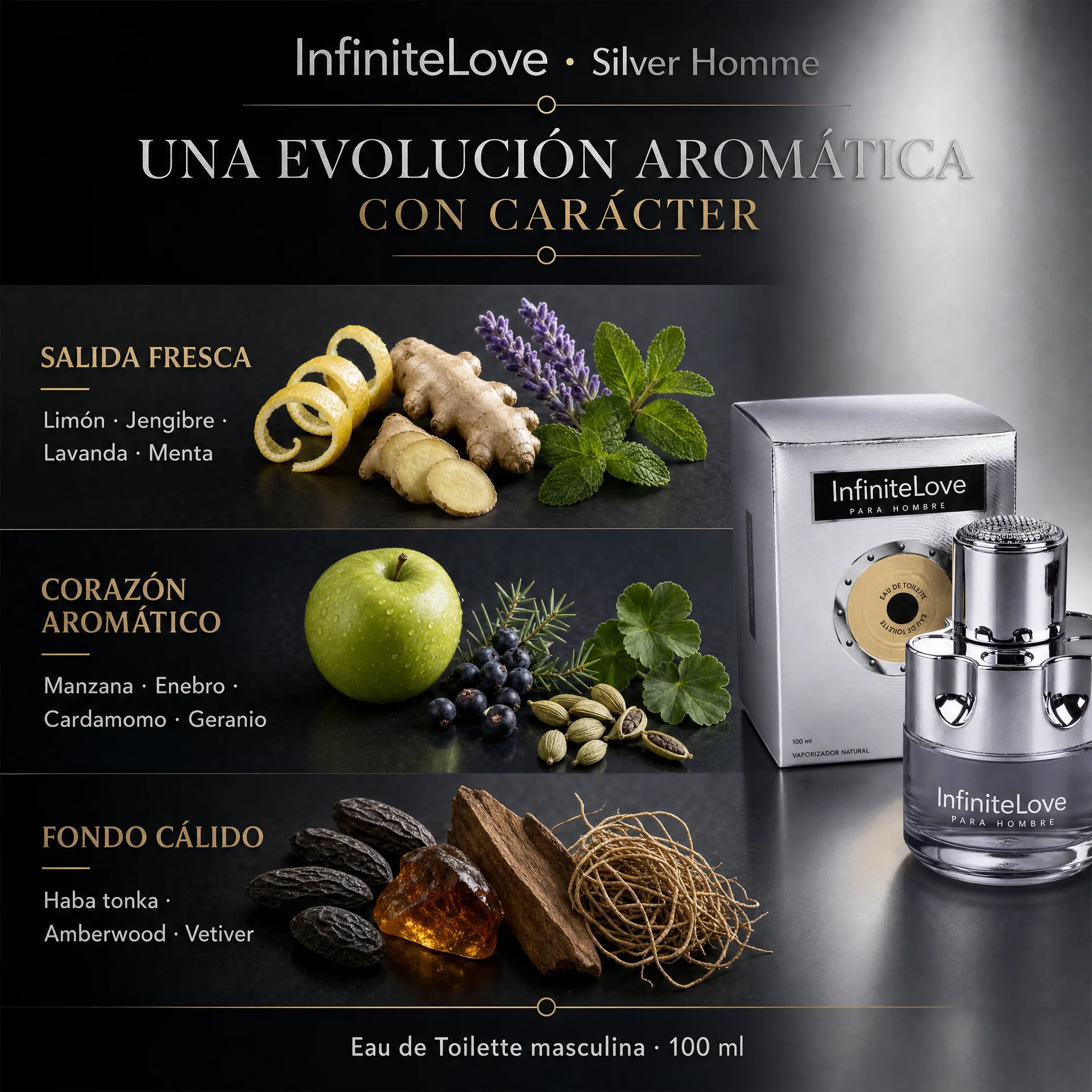 Pirámide olfativa de InfiniteLove Silver Homme con notas cítricas, aromáticas, especiadas y amaderadas