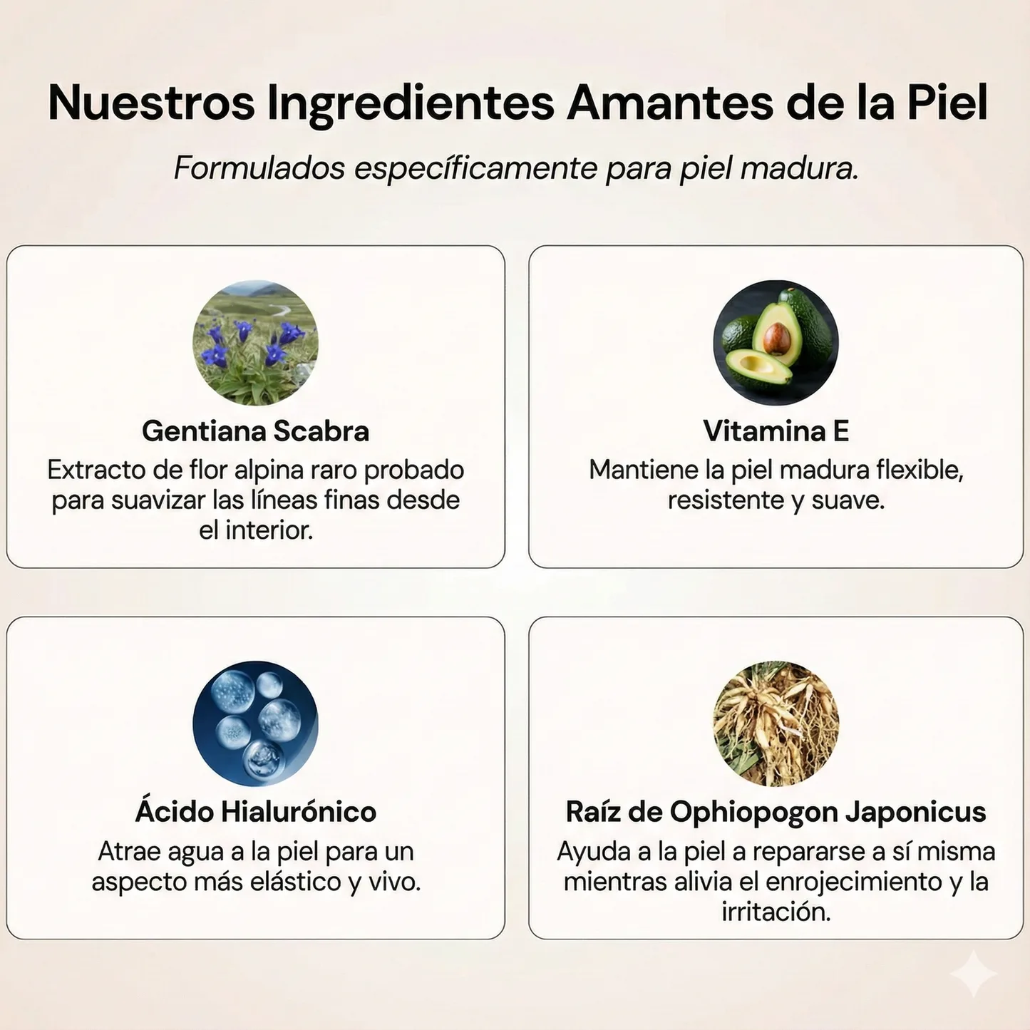 Base de Maquillaje Antiedad SPF 50 - Se Adapta a tu Piel
