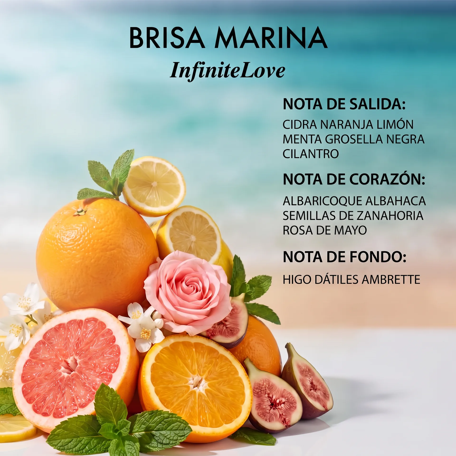 Notas Olfativas - Brisa Marina InfiniteLove