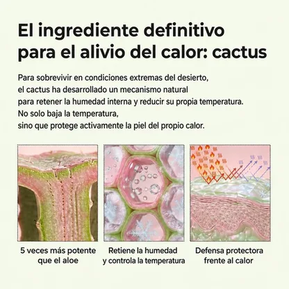 Multi Bálsamo para Poros Cactox — Stick Facial Efecto Frío 25 g