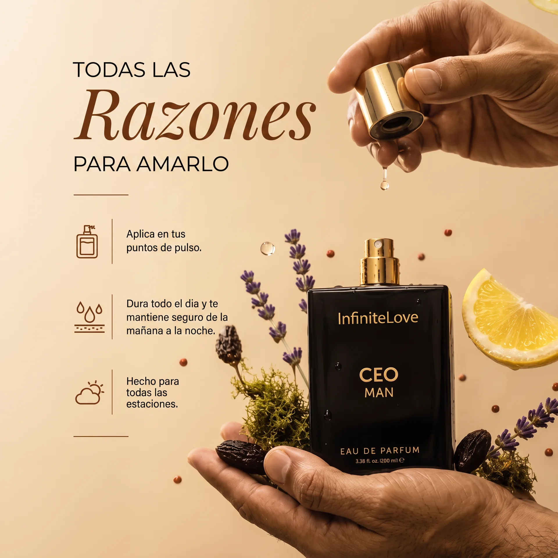 CEO MAN Razones Para Amarlo - InfiniteLove