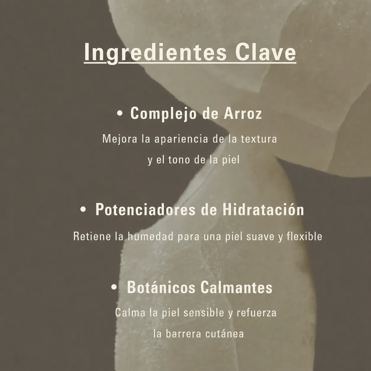 Ingredientes Clave: Complejo de Arroz